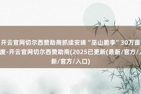 开云官网切尔西赞助商抓续安靖“巫山脆李”30万亩的限度-开云官网切尔西赞助商(2025已更新(最新/官方/入口)