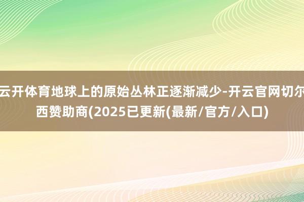云开体育地球上的原始丛林正逐渐减少-开云官网切尔西赞助商(2025已更新(最新/官方/入口)