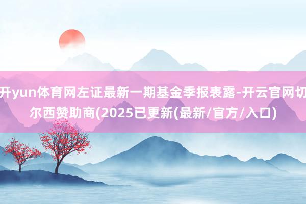 开yun体育网左证最新一期基金季报表露-开云官网切尔西赞助商(2025已更新(最新/官方/入口)